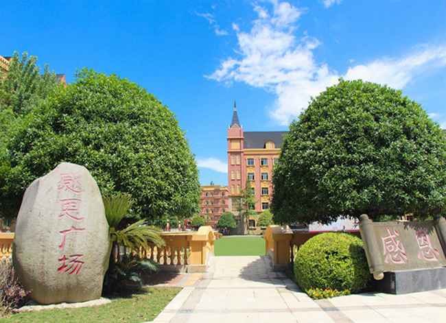 四川五月花学院计算机专业可以考哪些职业资格证书